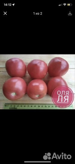 Семена томатов Иваныч,Бабушка Бейкера,Оля-ля