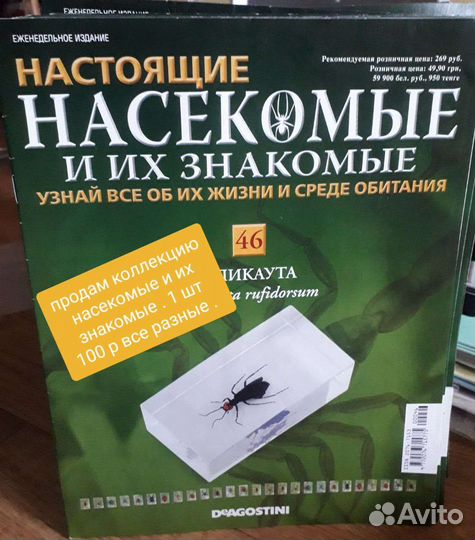 Насекомые в стекле
