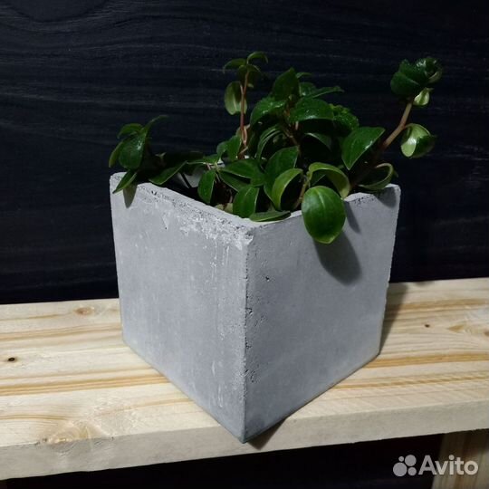 Кашпо, Вазоны, Горшки под заказ из бетона