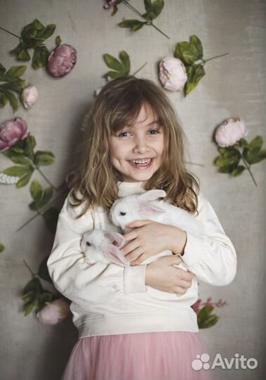 Питомник мини кроликов