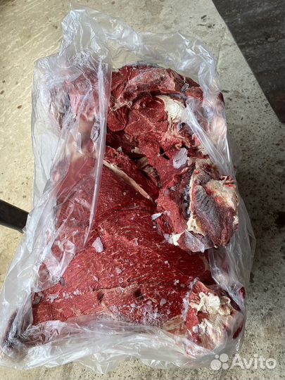 Мясо говядина для собак