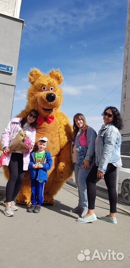 Аэромедведь