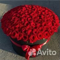 51 Роза 101 Роза Цветы Доставка