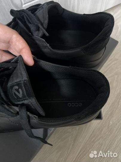 Мужские кеды ecco