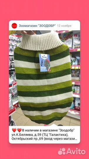 Одежда для собак