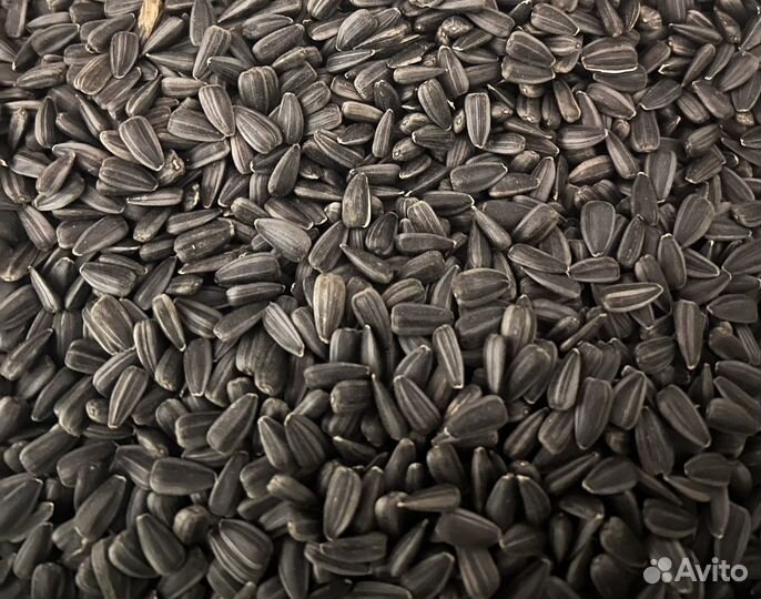 Семечки для птиц