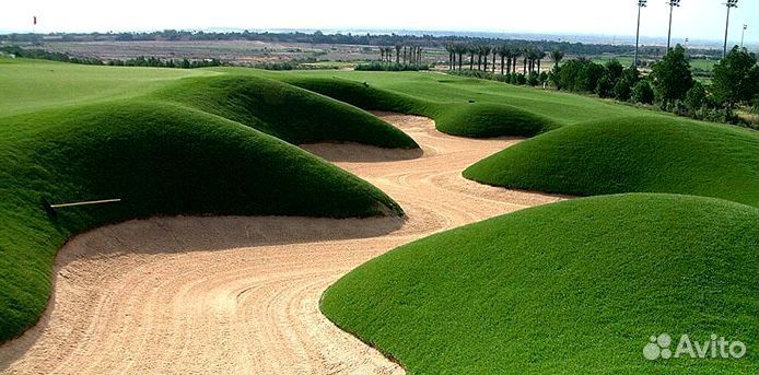 Рулонный газон. Посев газона. Гидропосев