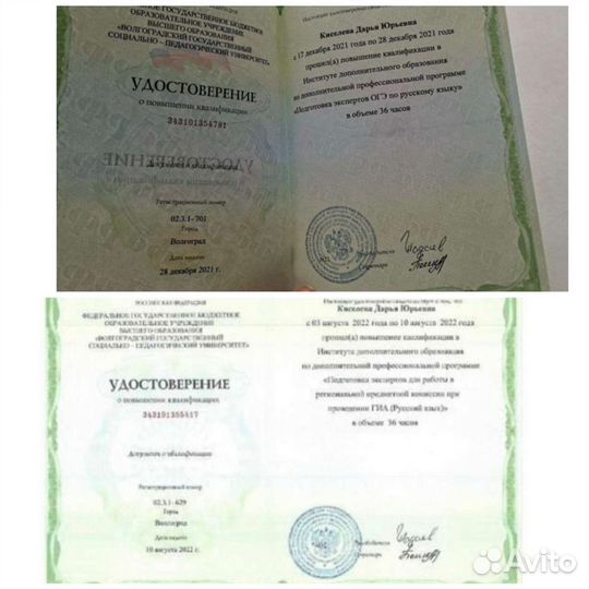 Репетитор по русскому языку и литературе