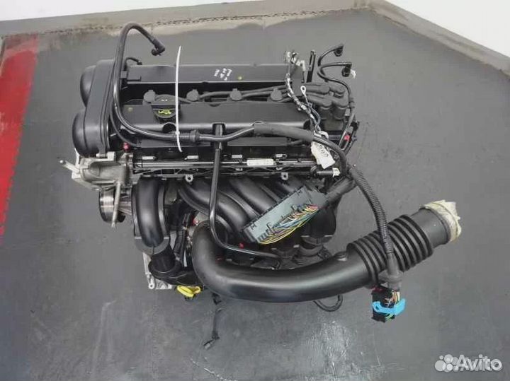Двигатель ford focus 2 1 6 hwda