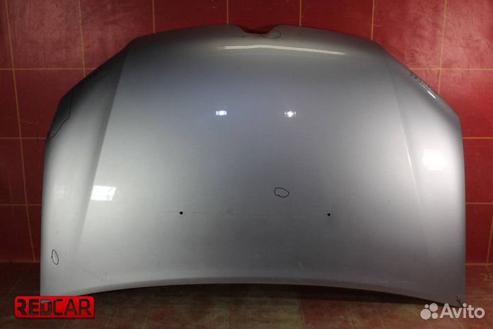 Капот Renault Sandero 2 (14)