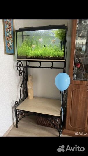 Аквариум и все его составляющие + кованная стойка