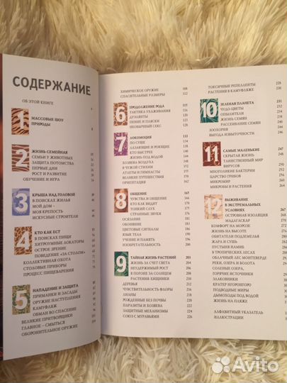 1000 чудес природы