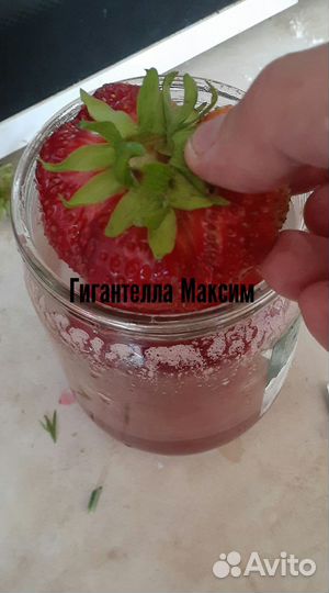 Клубника, земклуника