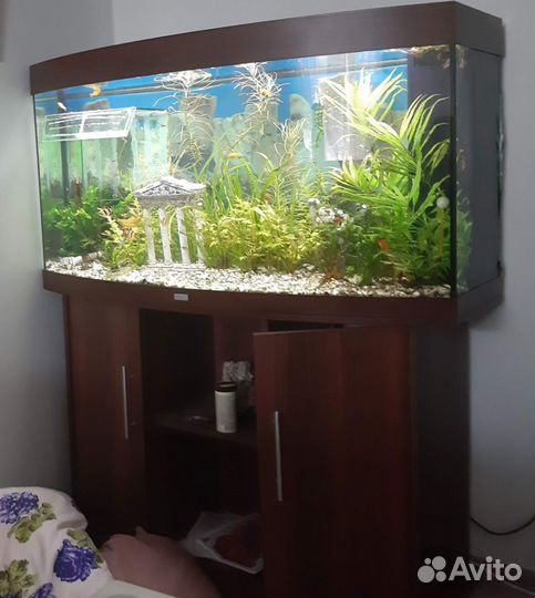 Аквариум с тумбой juwel