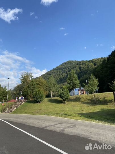 Экологические консультации