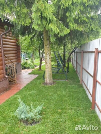 Рулонный газон + Ландшафтное проектирование