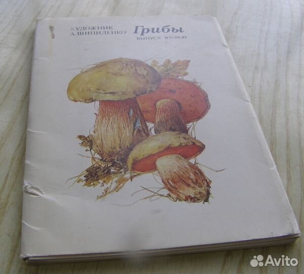 Комплект открыток СССР с изображением грибов