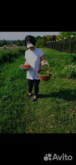 Домработница с проживанием