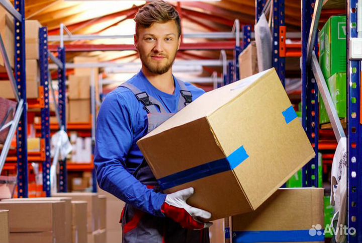 Грузчики с ежедневной оплатой