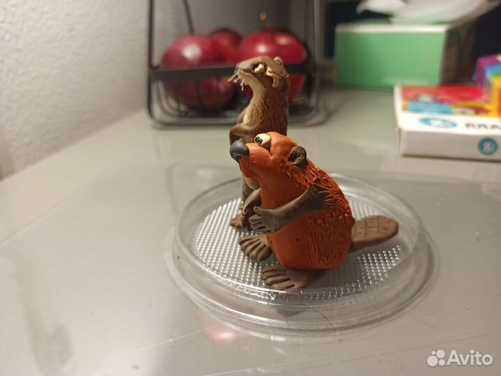 Бобр и выдра