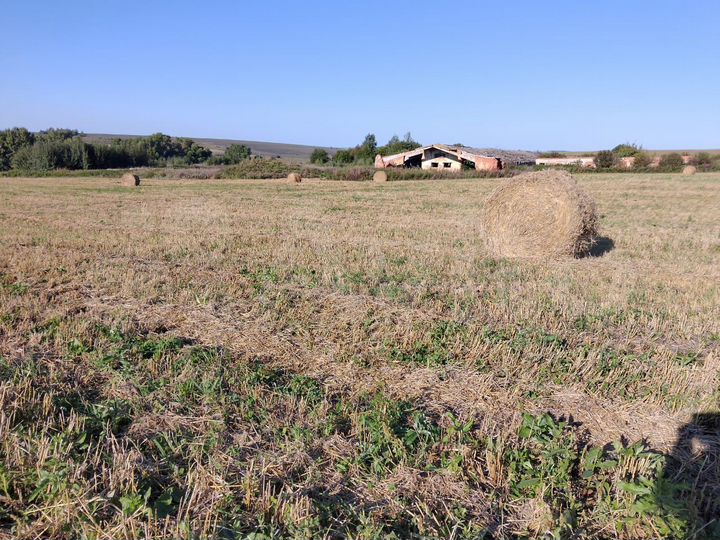 Участок 3 га (СНТ, ДНП)