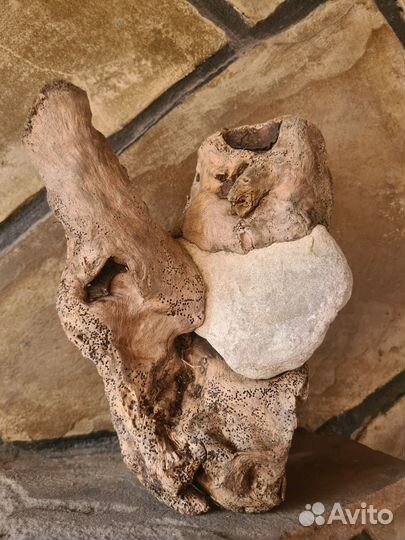 Коряги дрифтвуд