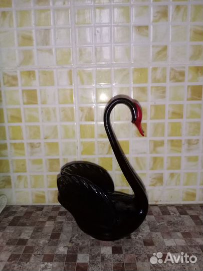 Черный лебедь