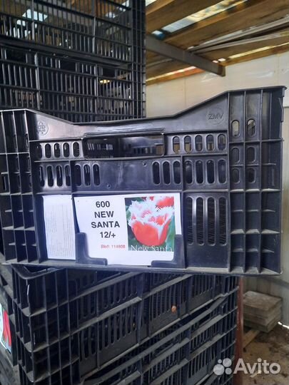 Продам ящики пластиковые