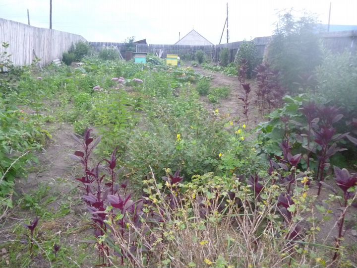 Участок 7 сот. (СНТ, ДНП)