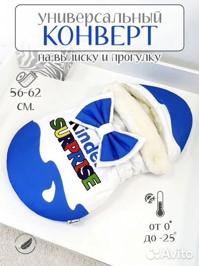 Конверт на выписку зимний CherryMom