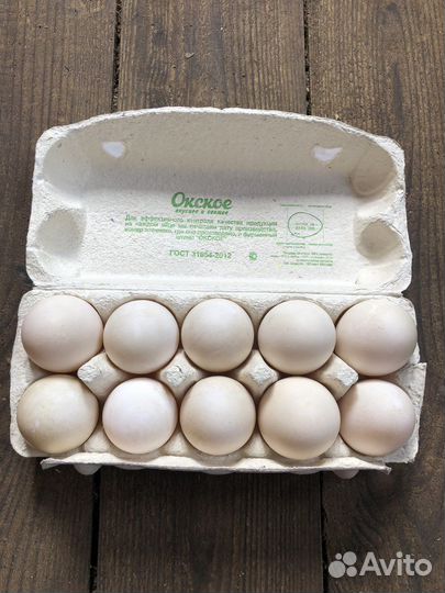 Утиные яйца