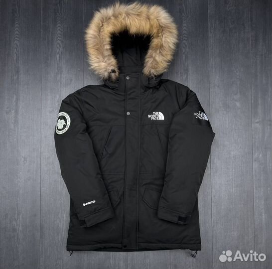 Куртка the north face с капюшоном