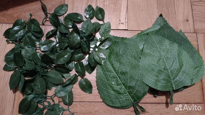 Перья и листья