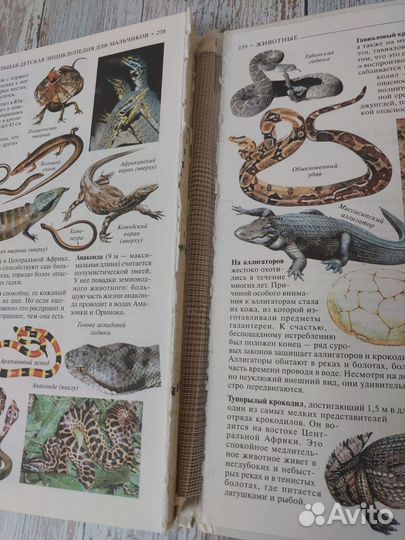 Книги для мальчиков