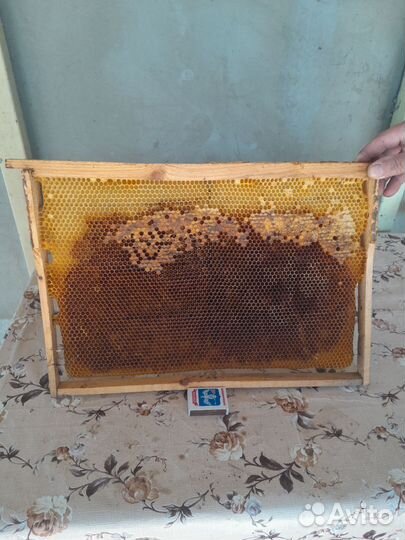 Рамки с вощинной продаю