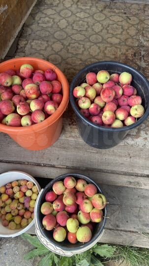 Участок 15 сот. (СНТ, ДНП)