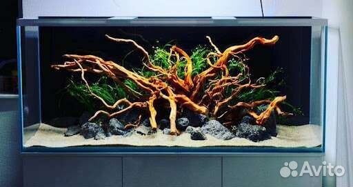 Аквариум под ключ
