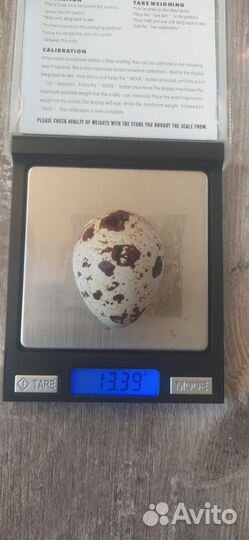 Яйца перепелиные