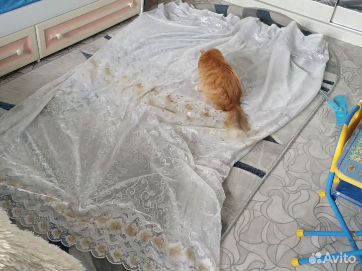 Тюль