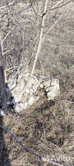 Камень для декора с доставкой по Симферополю