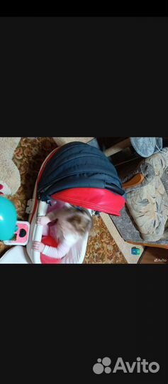 Коляска adamex 3 в 1