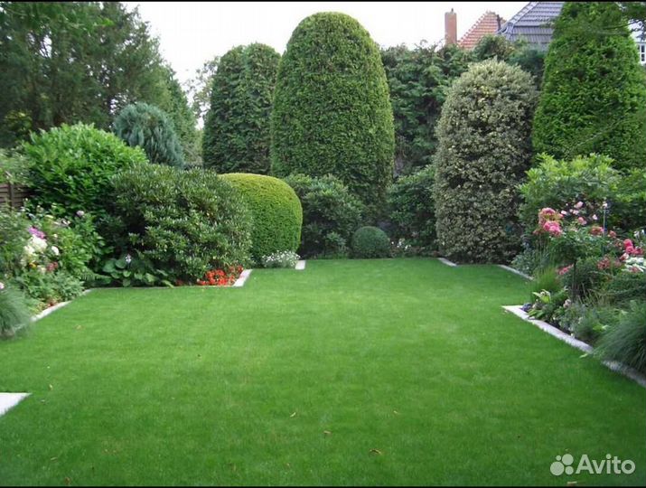 Газон рулонный Элитный