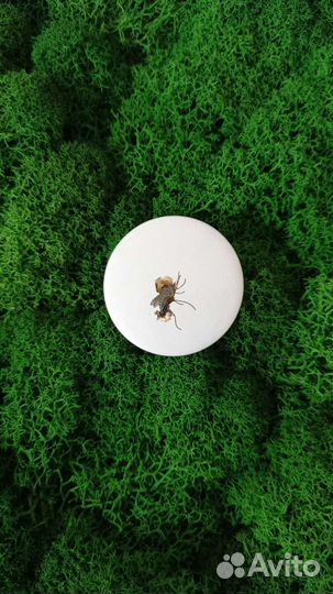 Значки на рюкзак