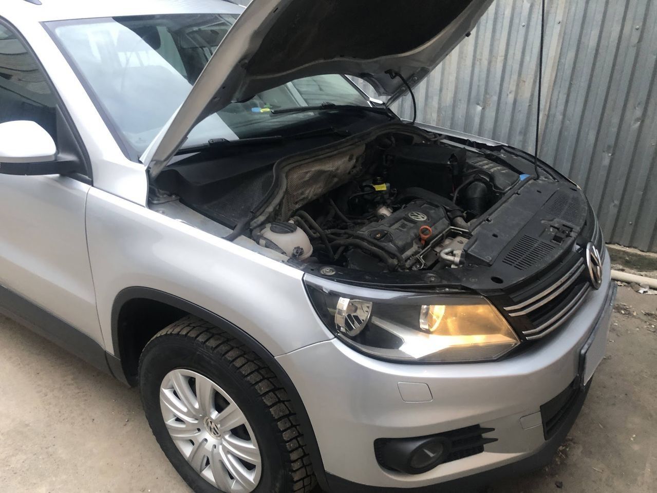 Volkswagen Tiguan: фото владельца