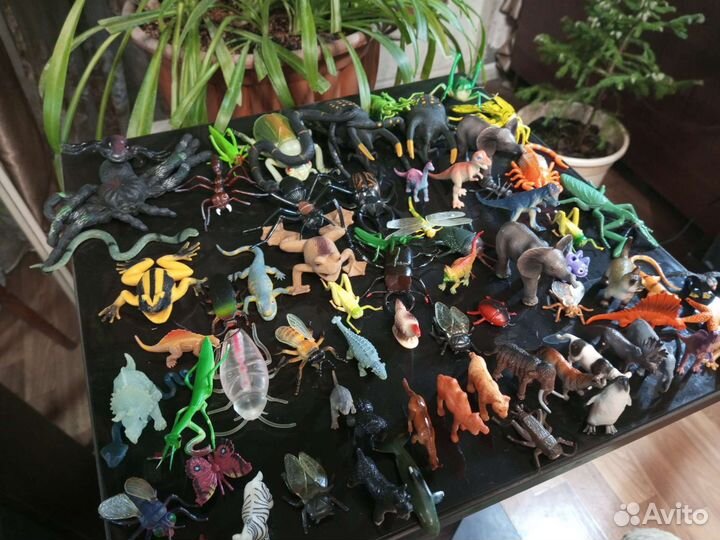 Коллекция животных цена за всё