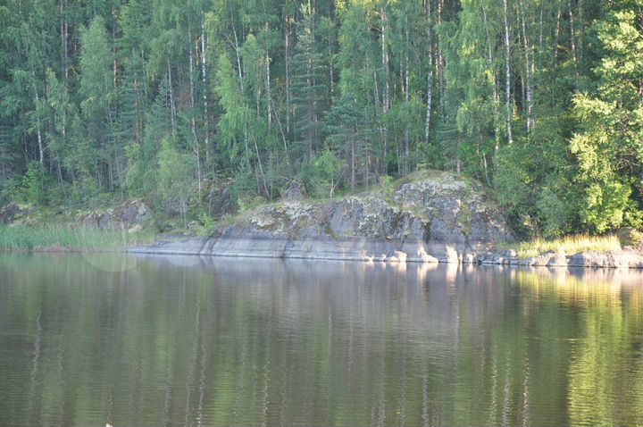 Участок 3,55 га (СНТ, ДНП)