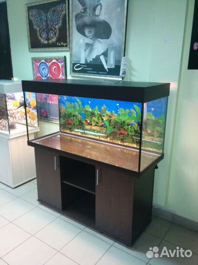 Аквариум 320 прямоугольный, свет, биофильтр, тумба