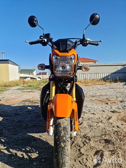 Honda zoomer X