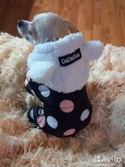 Куртка для собак мелких пород