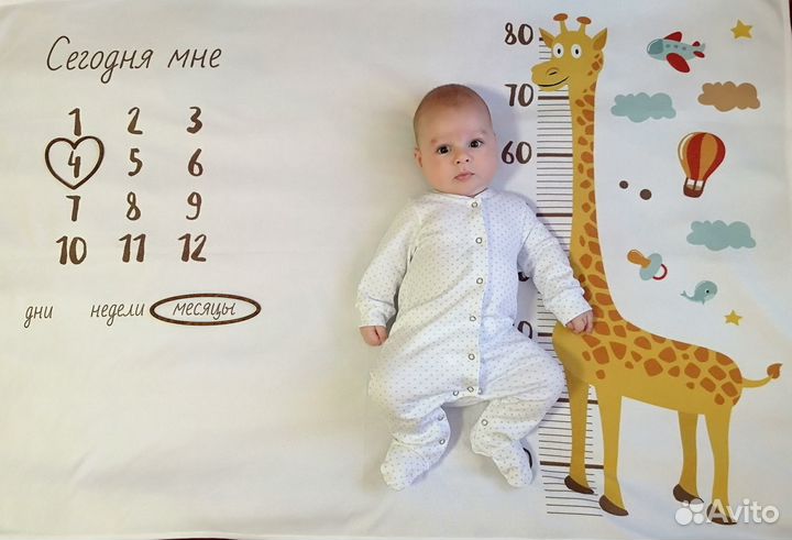 Фотоплед по месяцам